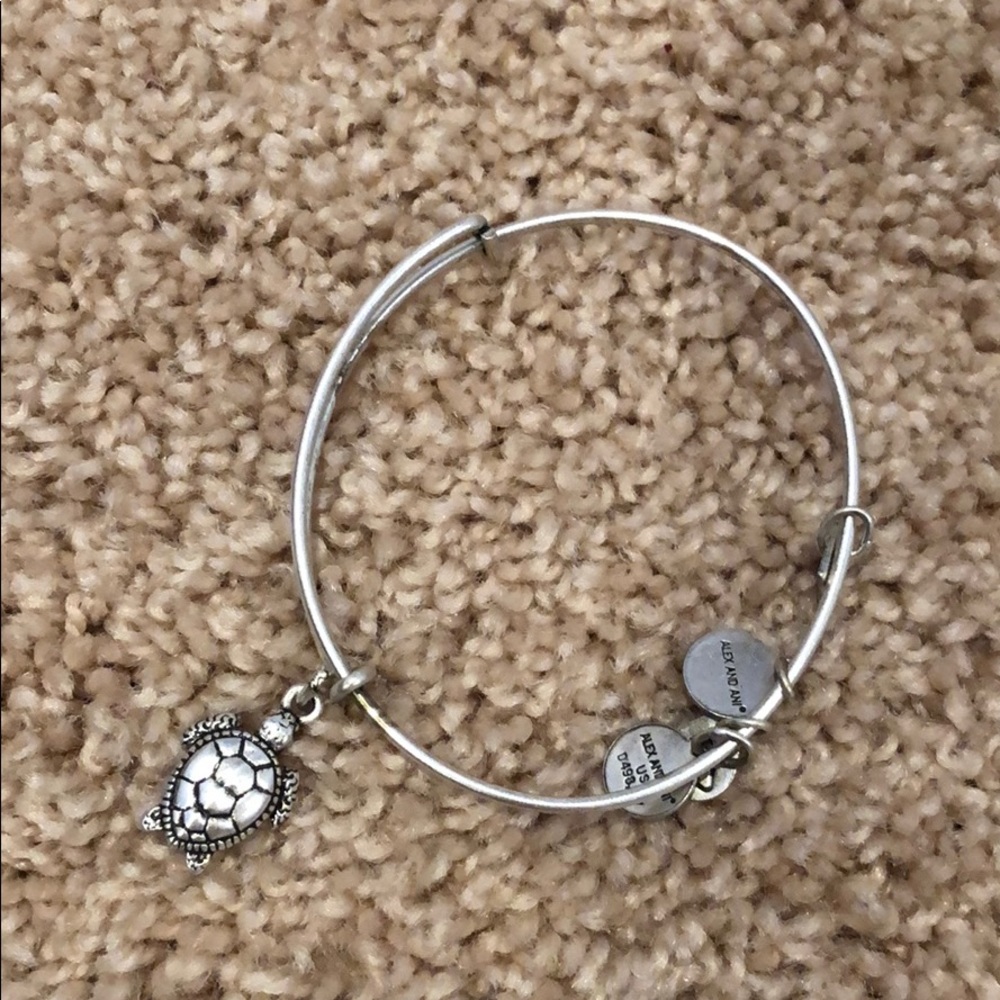 Alex & Ani Turtle Bracelet